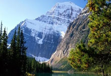 中国战隊(duì)AG.AL获电竞世界杯王者荣耀(yào)项目冠军