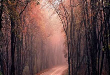 第一届高校足球运動(dòng)專(zhuān)业足球联赛开幕