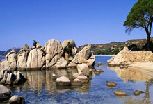 阳泉最新人事动态(yang quan zui xin ren shi dong tai)