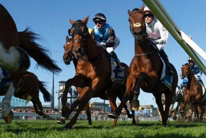 【盘点】中国赛驹赢下几场？2025全球国际赛马节暨重磅一级赛视频集锦