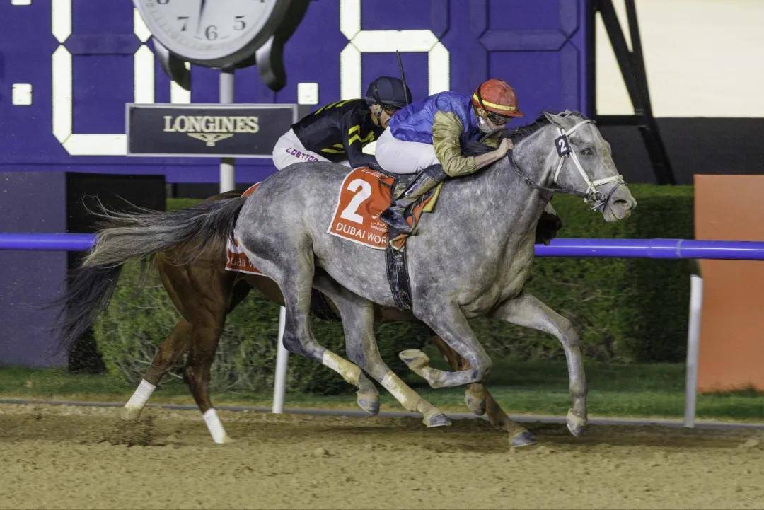 【盘点】中国赛驹赢下几场？2025全球国际赛马节暨重磅一级赛视频集锦
